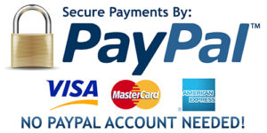 paypal-logo-11